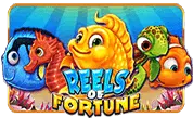 Reels Of Fortune